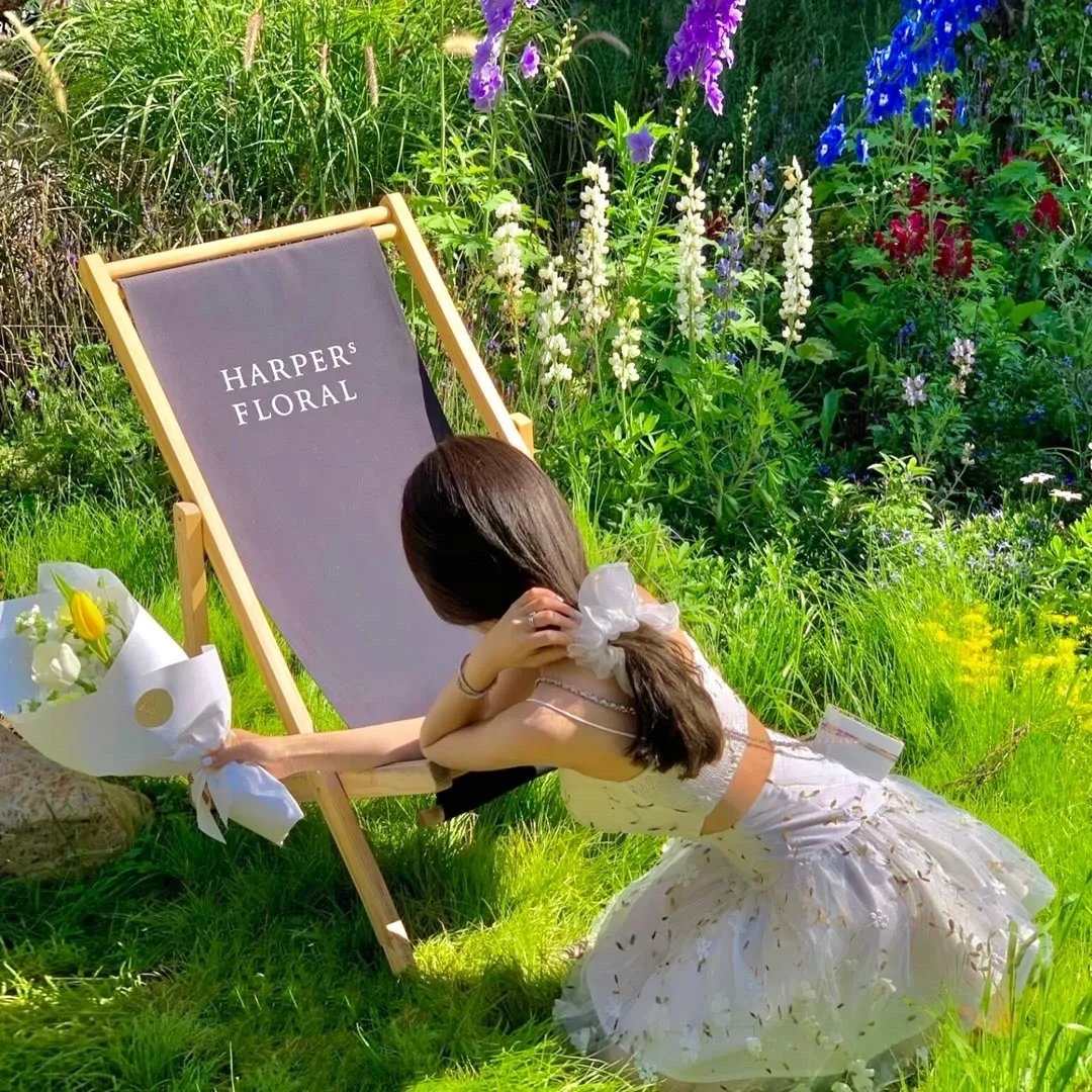 替身女配拿稳白月光剧本