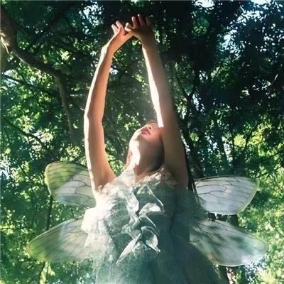 蔷薇花谢即归来